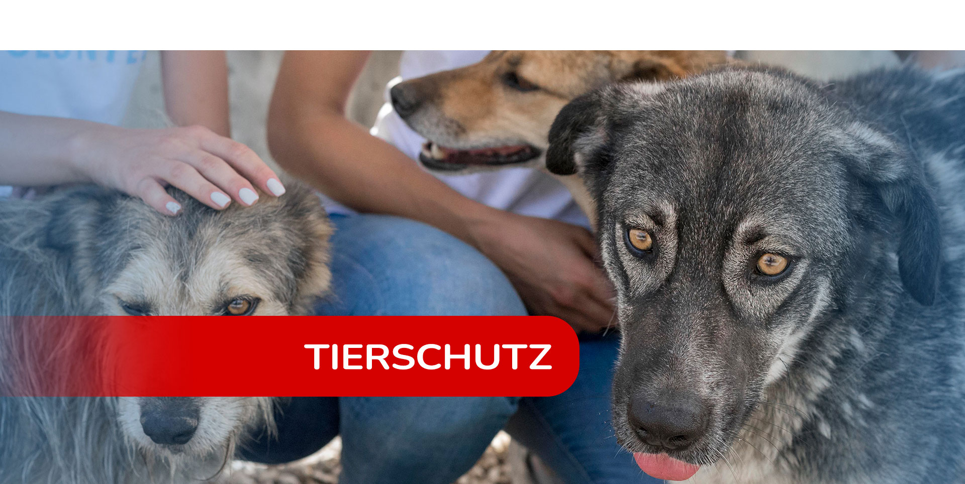 eineurohilft Tierschutz